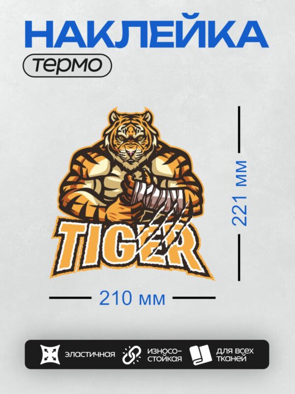Термонаклейка на одежду DTF / Мускулистый мультяшный тигр с надписью "TIGER".