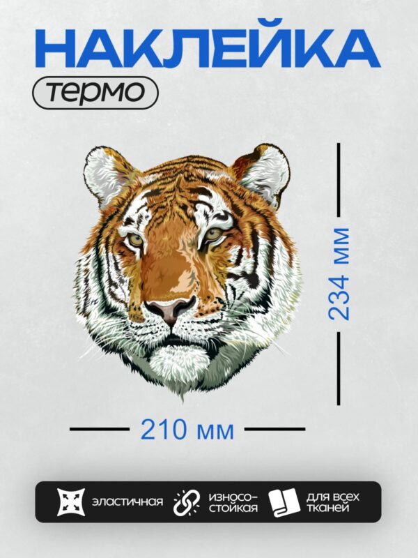 Термонаклейка на одежду DTF / Мультяшная голова тигра с яркими оранжевыми полосами.