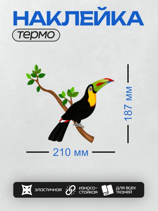 Термонаклейка на одежду DTF / Мультяшный тукан на ветке с зелёными листьями.