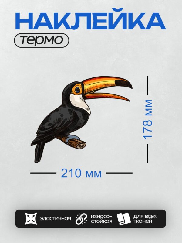 Термонаклейка на одежду DTF / Тукан с ярким оранжевым клювом и большими глазами.