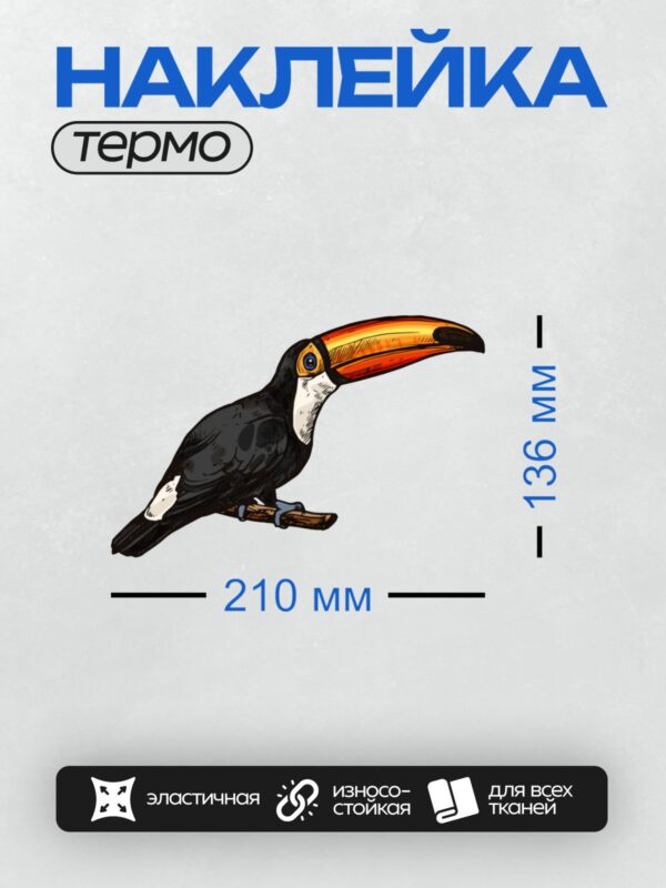 Термонаклейка на одежду DTF / Тукан с ярким клювом сидит на ветке.
