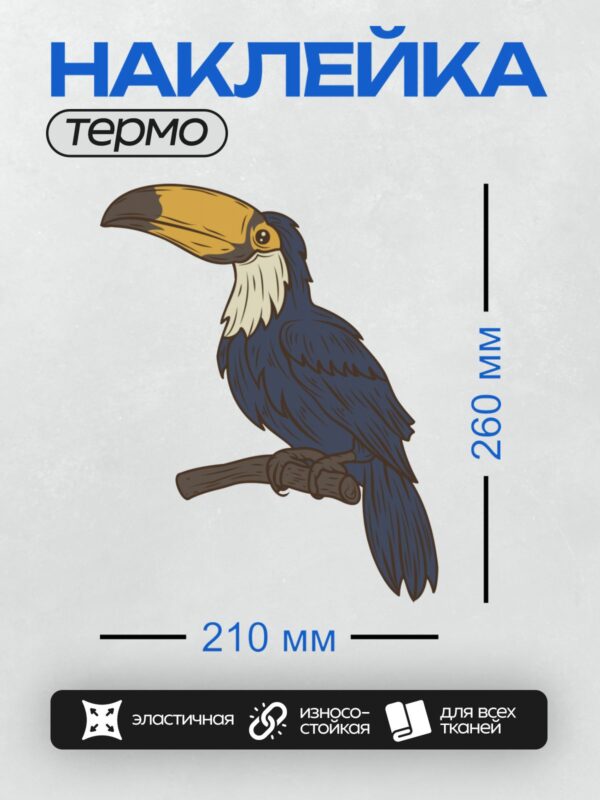 Термонаклейка на одежду DTF / Мультяшный тукан с ярким клювом и большими глазами.