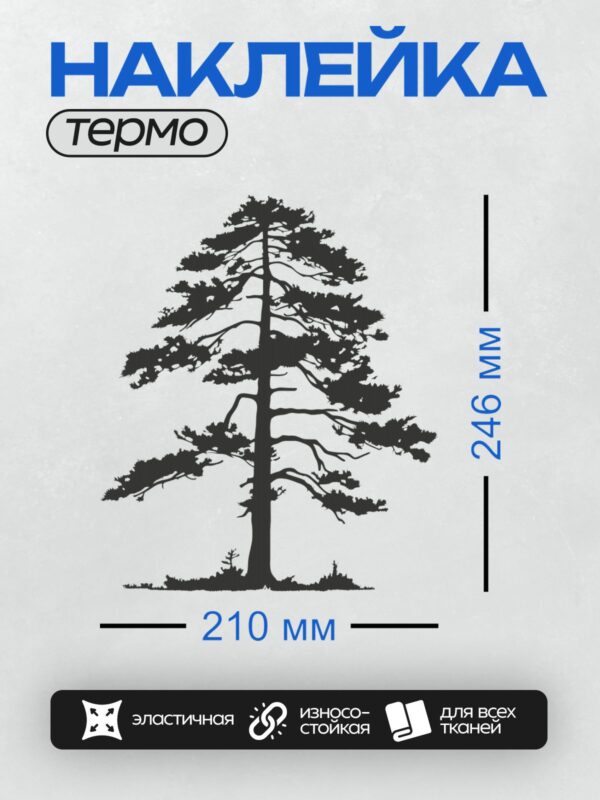 Термонаклейка на одежду DTF / Силуэт высокой сосны с густыми ветвями.