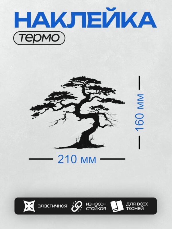 Термонаклейка на одежду DTF / Силуэт сосны с густыми ветвями на белом фоне.