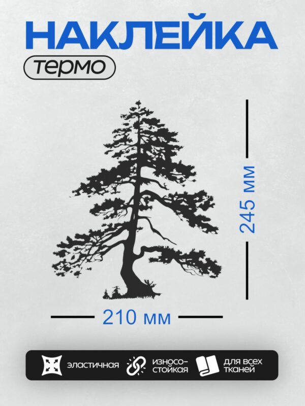 Термонаклейка на одежду DTF / Силуэт сосны с густыми ветвями на белом фоне.