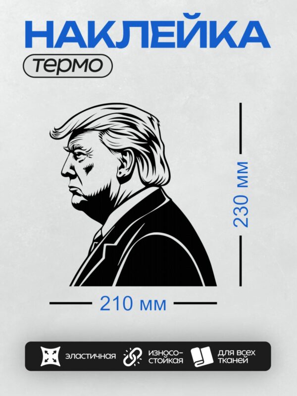 Термонаклейка на одежду DTF / Черно-белый портрет мужчины в профиль, выполненный в графическом стиле.