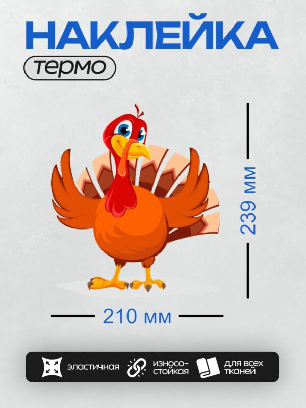 Термонаклейка на одежду DTF / Мультяшный индюк с яркими перьями и большими глазами.