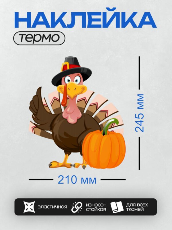 Термонаклейка на одежду DTF / Мультяшный индюк в шляпе пилигрима с тыквой.