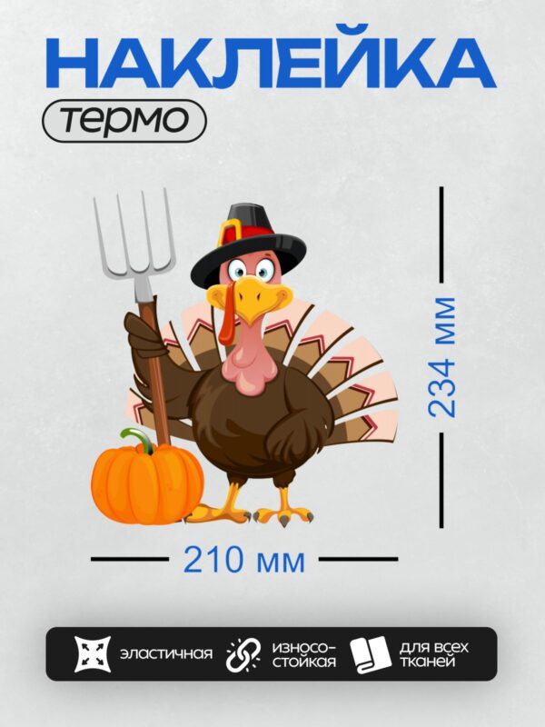 Термонаклейка на одежду DTF / Мультяшный индюк в шляпе пилигрима с тыквой.