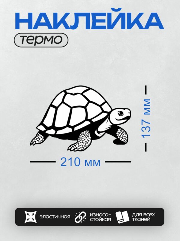 Термонаклейка на одежду DTF / Черно-белая черепаха с четкими линиями панциря.