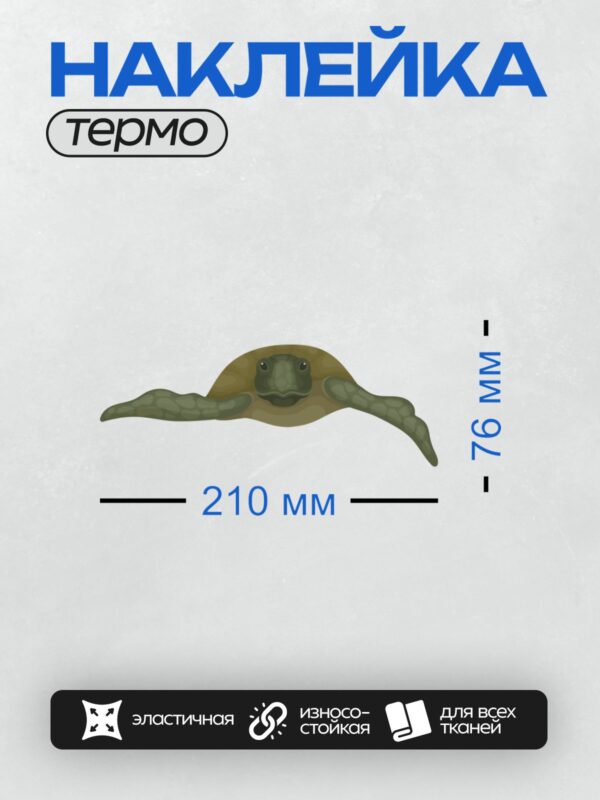 Термонаклейка на одежду DTF / Мультяшная черепаха с узорчатым панцирем и большими глазами.