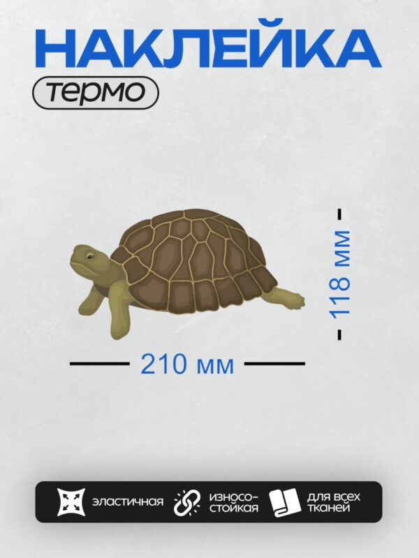 Термонаклейка на одежду DTF / Мультяшная черепаха с узорчатым панцирем и зелёной кожей.