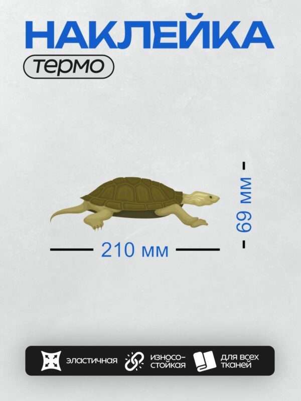 Термонаклейка на одежду DTF / Мультяшная черепаха с коричневым панцирем.