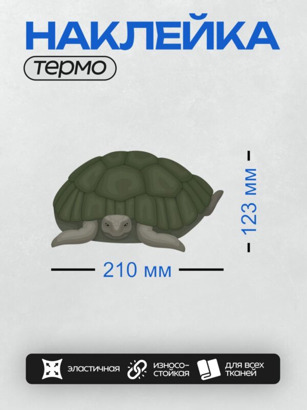 Термонаклейка на одежду DTF / Мультяшная черепаха с зелёным панцирем и серыми лапами.