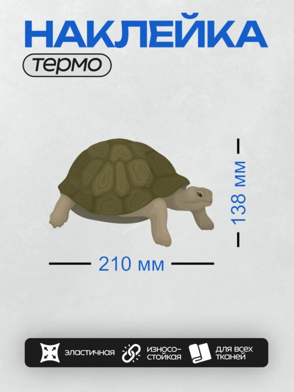 Термонаклейка на одежду DTF / Мультяшная черепаха с узорчатым панцирем.