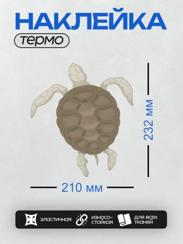 Термонаклейка на одежду DTF / Мультяшная черепаха с узорчатым панцирем.