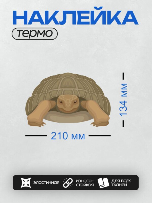 Термонаклейка на одежду DTF / Мультяшная черепаха с коричневым панцирем и лапами.