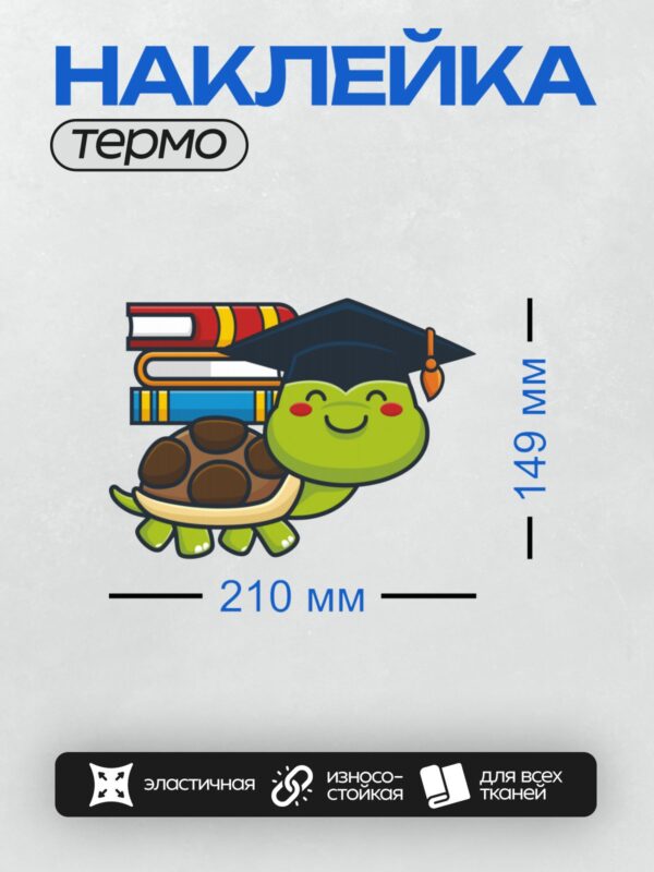 Термонаклейка на одежду DTF / Мультяшная черепаха в выпускной шапочке с книгами.