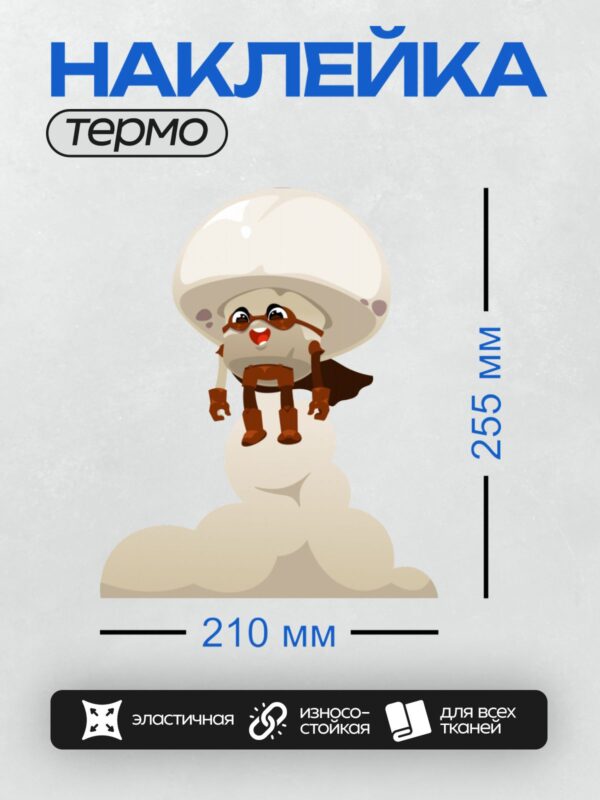 Термонаклейка на одежду DTF / Мультяшный гриб в очках и плаще на облаке.