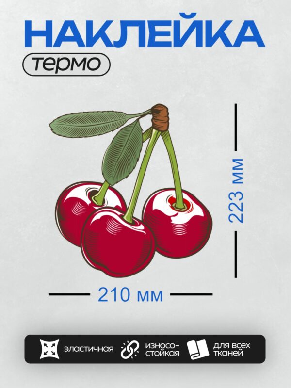 Термонаклейка на одежду DTF / Три стилизованные вишни с листьями на ветке.