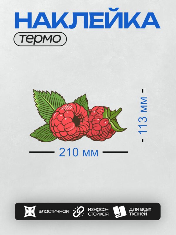 Термонаклейка на одежду DTF / Мультяшная малина с зелёными листьями.