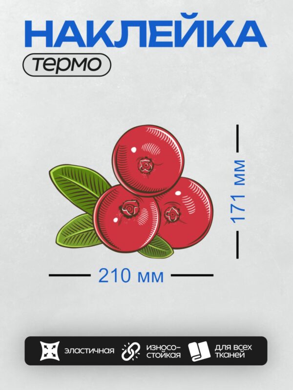 Термонаклейка на одежду DTF / Три красные ягоды с зелёными листьями.