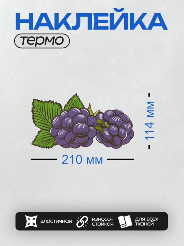 Термонаклейка на одежду DTF / Мультяшная ежевика с зелёными листьями.