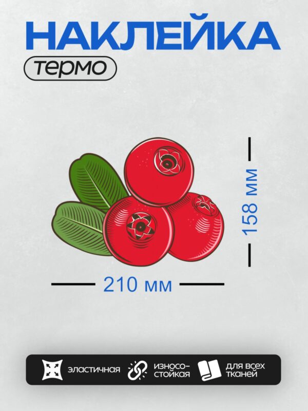 Термонаклейка на одежду DTF / Три красные ягоды клюквы с зелёными листьями.
