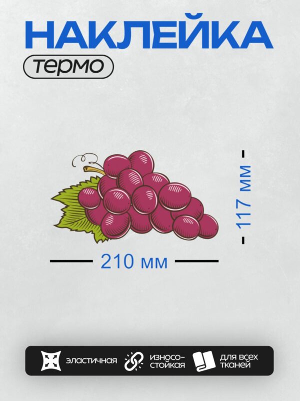 Термонаклейка на одежду DTF / Гроздь фиолетового винограда с зелёным листом.