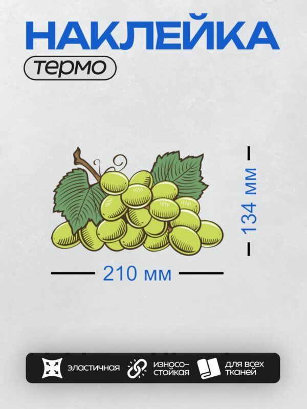 Термонаклейка на одежду DTF / Гроздь зелёного винограда с листьями.