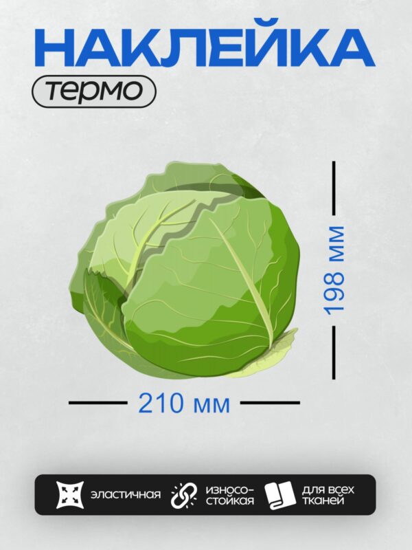 Термонаклейка на одежду DTF / Мультяшная белокочанная капуста с зелёными листьями.