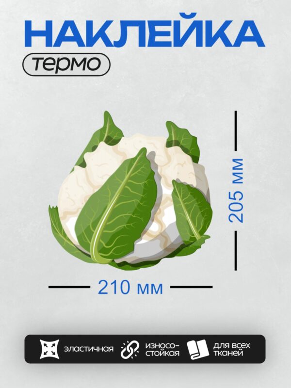 Термонаклейка на одежду DTF / Цветная капуста с зелёными листьями, мультяшный стиль.