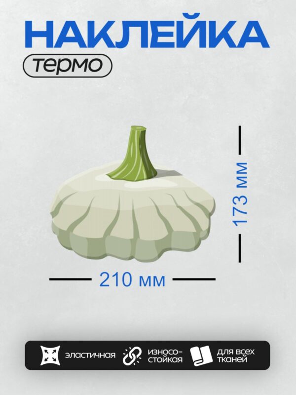 Термонаклейка на одежду DTF / Белый патиссон с зелёной ножкой.