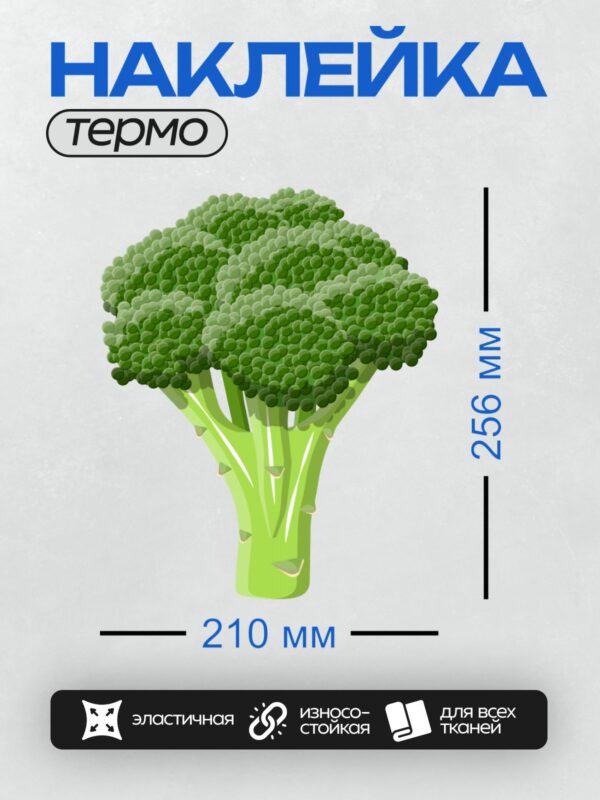 Термонаклейка на одежду DTF / Свежая брокколи на белом фоне, яркий зелёный цвет.