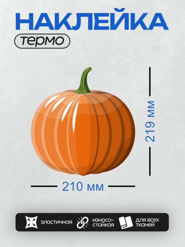 Термонаклейка на одежду DTF / Оранжевая тыква с зелёным стеблем, гладкая и блестящая.