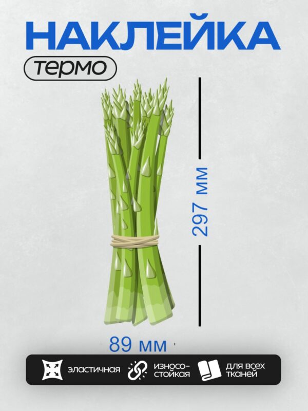 Термонаклейка на одежду DTF / Пучок свежей зелёной спаржи, перевязанный лентой.