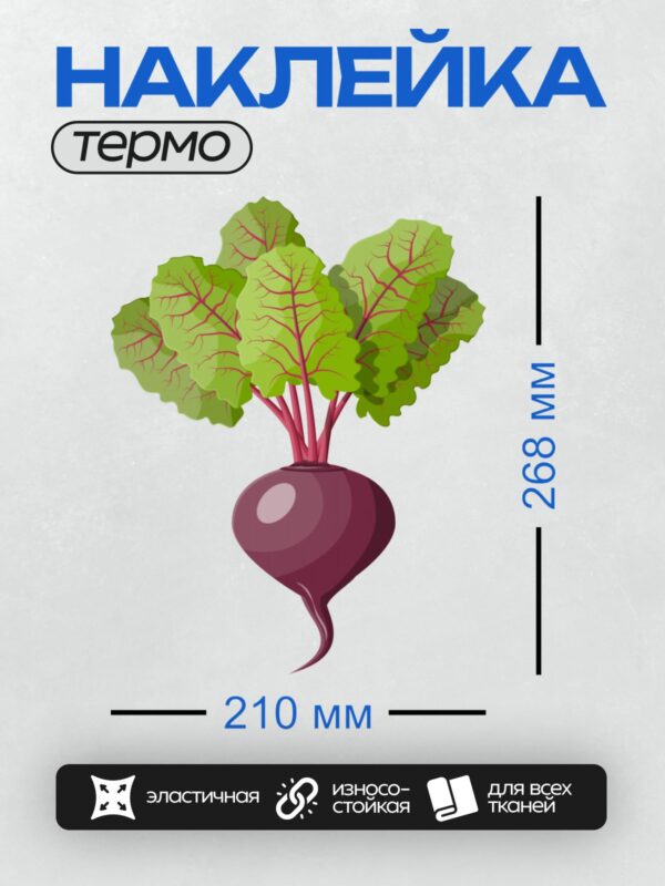 Термонаклейка на одежду DTF / Свекла с зелеными листьями и красными прожилками.