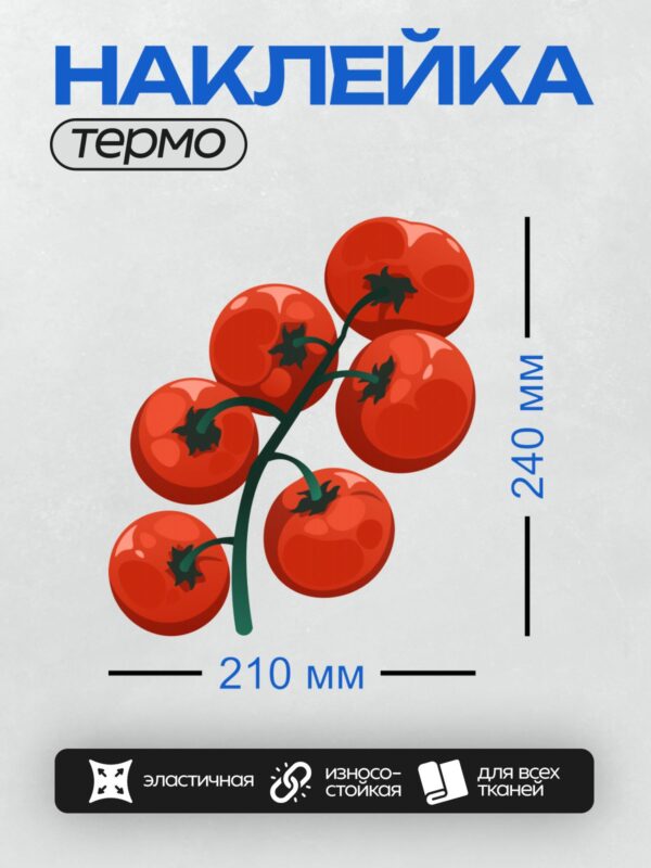 Термонаклейка на одежду DTF / Яркие красные помидоры черри на ветке.