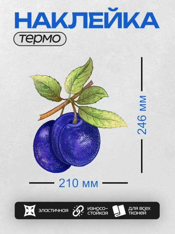 Термонаклейка на одежду DTF / Синие сливы с зелёными листьями на ветке.