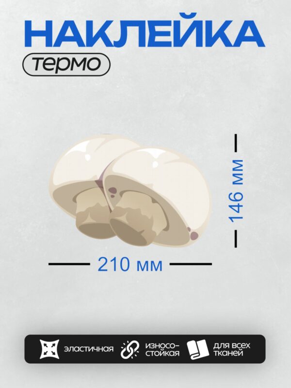 Термонаклейка на одежду DTF / Два шампиньона: один целый, другой разрезан пополам.