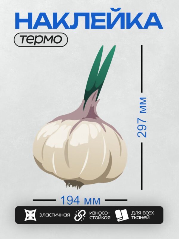 Термонаклейка на одежду DTF / Мультяшный чеснок с зелёными ростками.