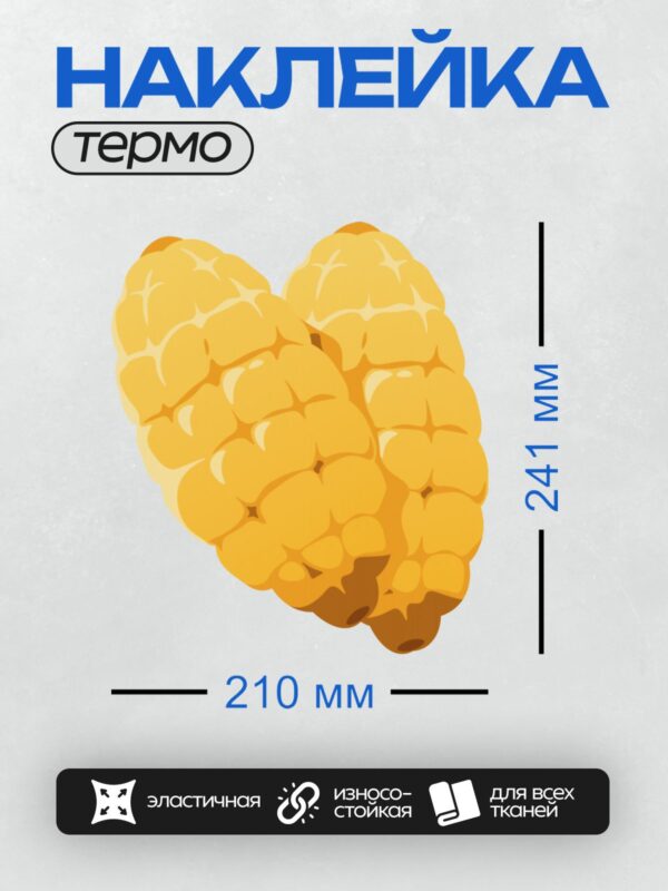 Термонаклейка на одежду DTF / Два початка кукурузы, ярко-жёлтые зёрна.