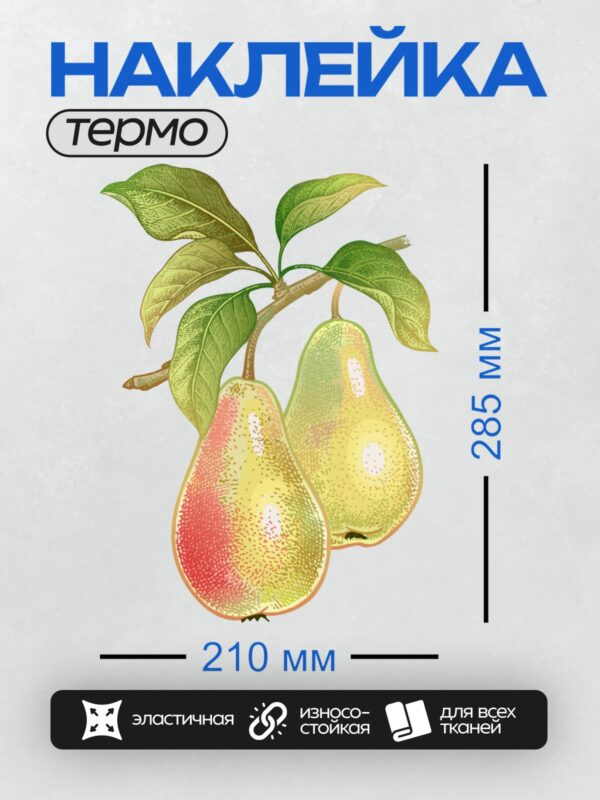 Термонаклейка на одежду DTF / Две спелые груши на ветке с зелёными листьями.