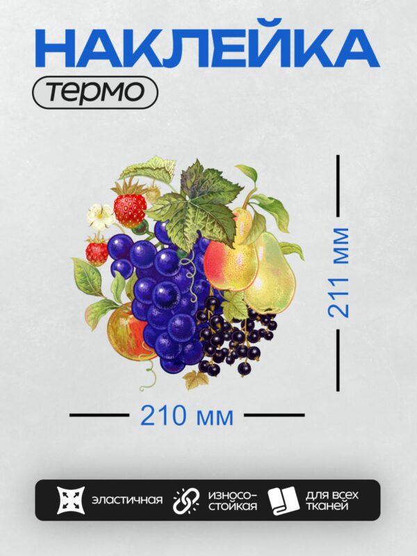 Термонаклейка на одежду DTF / Яркие фрукты и ягоды на белом фоне: виноград, груши, клубника, черная смородина.