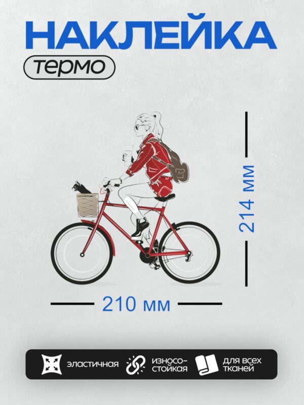 Термонаклейка на одежду DTF / Девушка на велосипеде с кошкой в корзине.