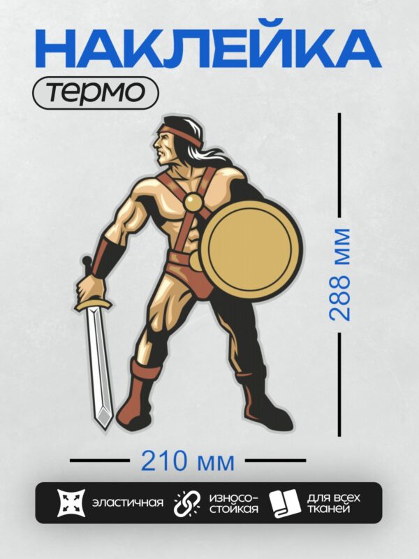 Термонаклейка на одежду DTF / Воин с мечом и щитом в боевой позе.
