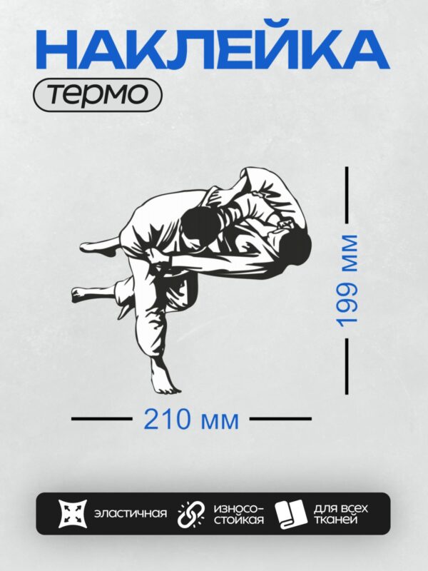 Термонаклейка на одежду DTF / Два дзюдоиста выполняют бросок в поединке.