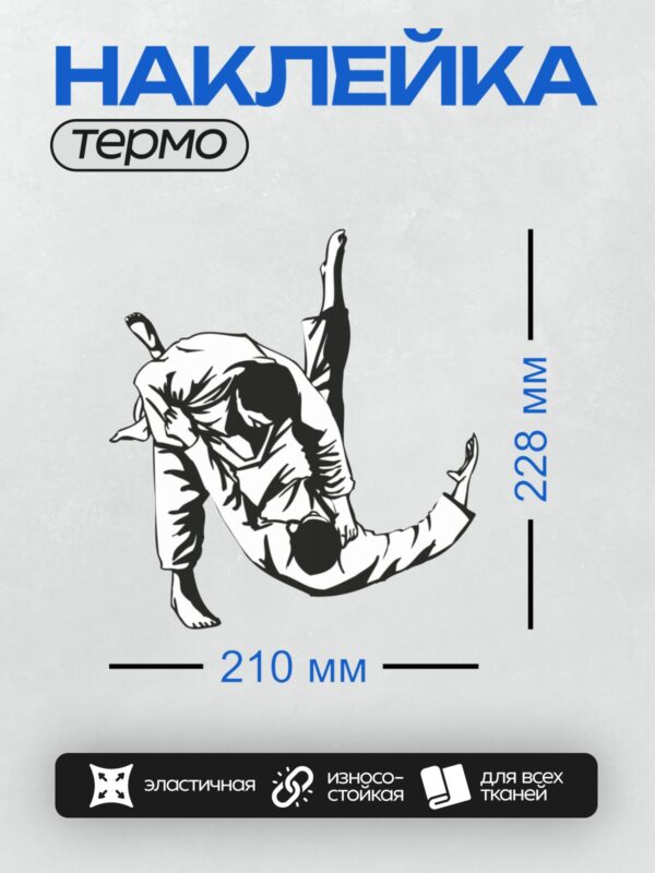 Термонаклейка на одежду DTF / Силуэт дзюдоиста, выполняющего бросок через бедро.