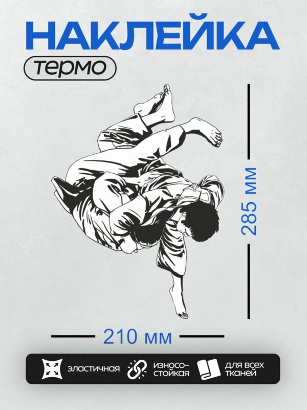 Термонаклейка на одежду DTF / Два спортсмена в динамичной борьбе дзюдо.