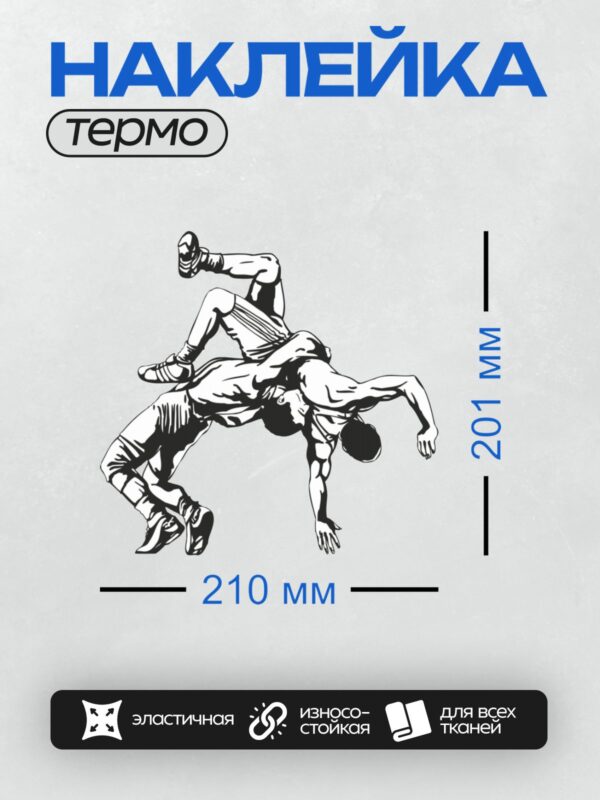 Термонаклейка на одежду DTF / Два борца выполняют бросок через бедро.